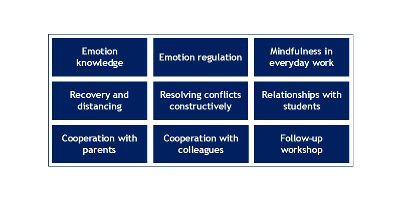 Subject areas of the SchuMaS training series